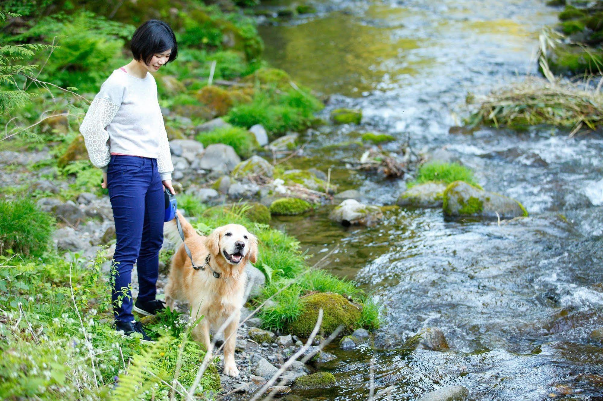 Izumigo Takayama Dog Paradise Hotel Екстериор снимка